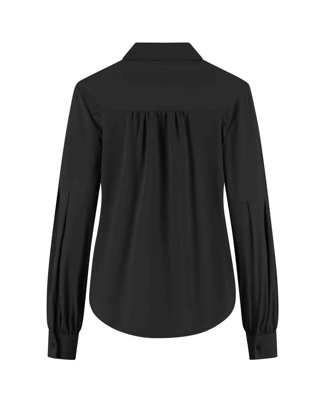 https://content.storeinfo.nl/applicatie/img/978/20261003142752_3121131_SterreBlackBack.jpg
